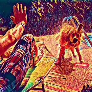 Meet your Posher, Rocky